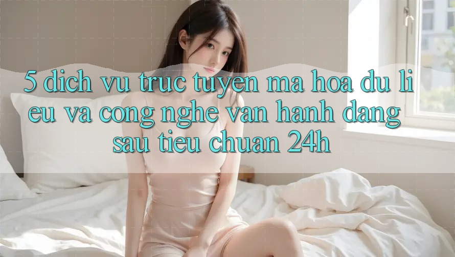 5. Dịch vụ trực tuyến Mã hóa dữ liệu Và Công Nghệ Vận Hành Đằng Sau Tiêu Chuẩn 24h