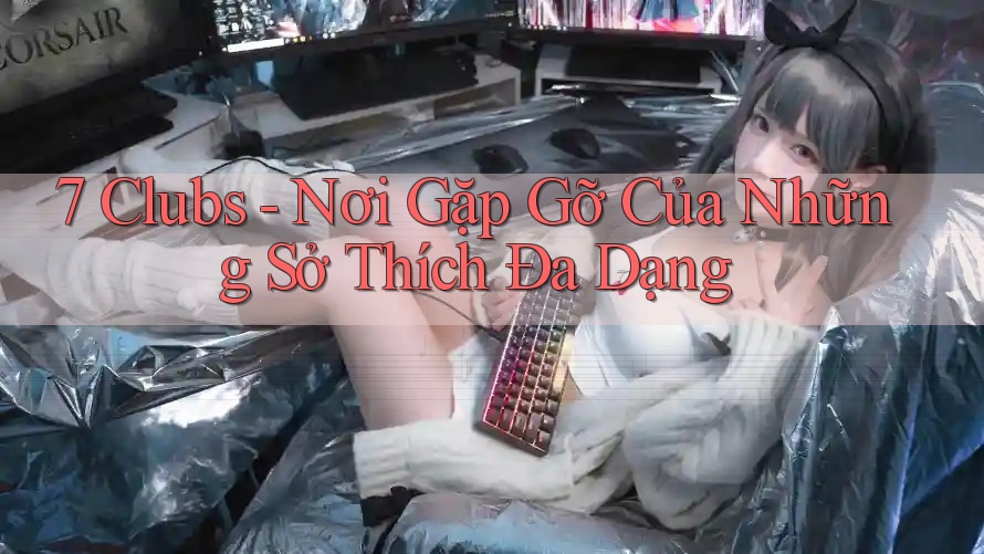 7 Clubs - Nơi Gặp Gỡ Của Những Sở Thích Đa Dạng