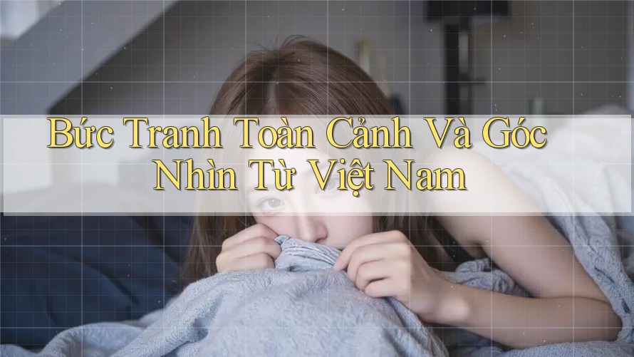 Bức Tranh Toàn Cảnh Và Góc Nhìn Từ Việt Nam