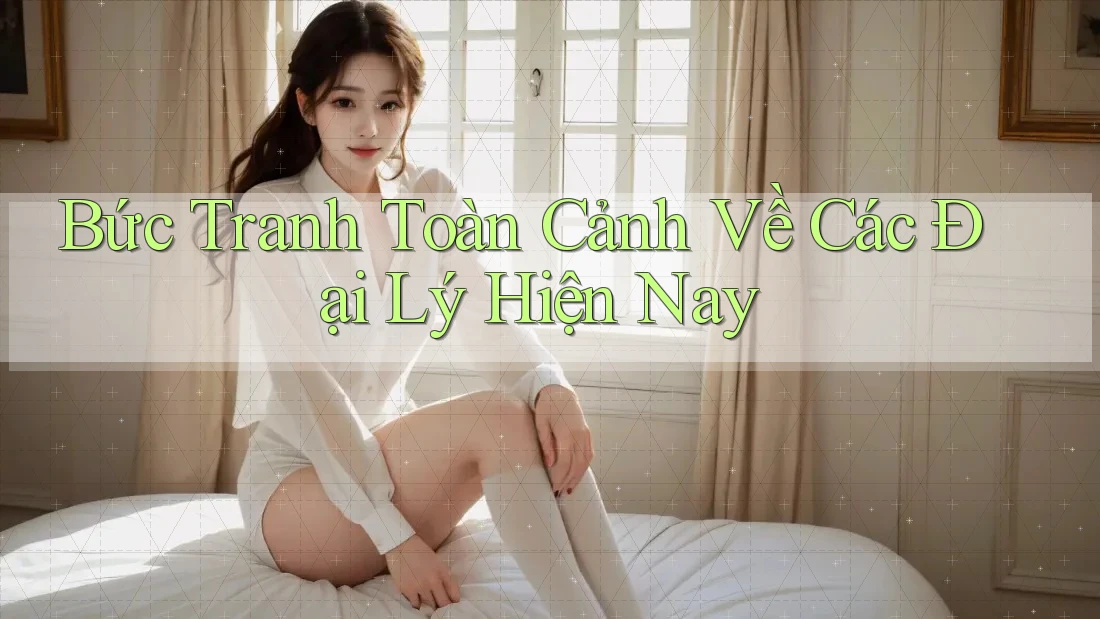 Bức Tranh Toàn Cảnh Về Các Đại Lý Hiện Nay