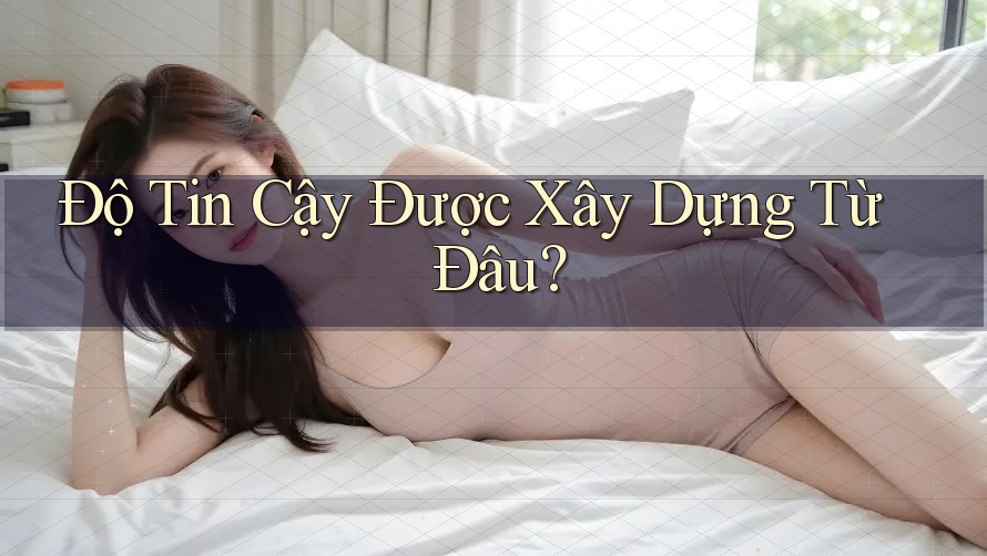 Độ Tin Cậy Được Xây Dựng Từ Đâu?