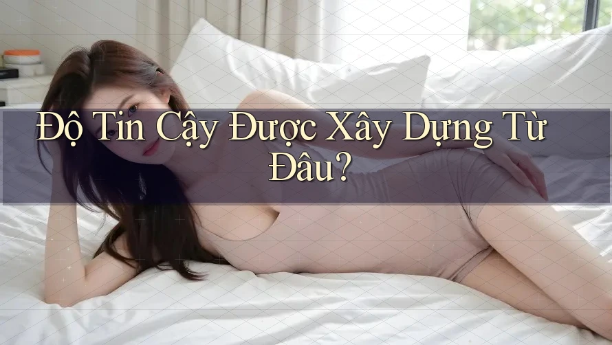 Độ Tin Cậy Được Xây Dựng Từ Đâu?