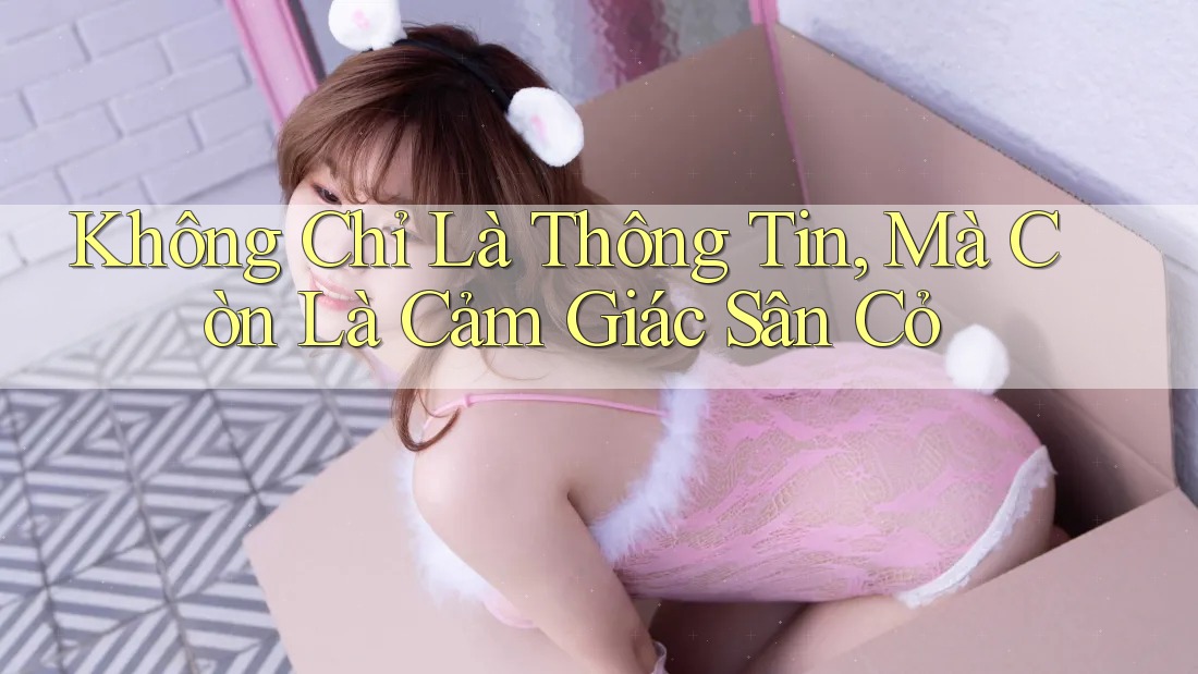 Không Chỉ Là Thông Tin, Mà Còn Là Cảm Giác Sân Cỏ