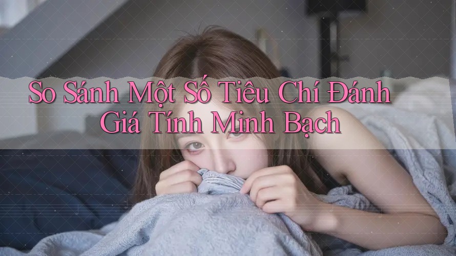 So Sánh Một Số Tiêu Chí Đánh Giá Tính Minh Bạch